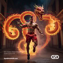 Gym Dragon, Series A, 21-109