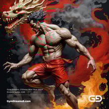 Gym Dragon, Series A, 21-109