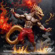 Gym Dragon, Series A, 21-109