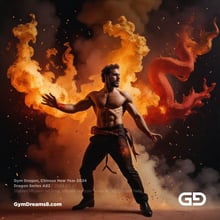 Gym Dragon, Series A, 21-109