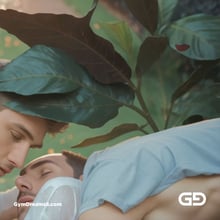 Kiss, like flower, like water. Part 2